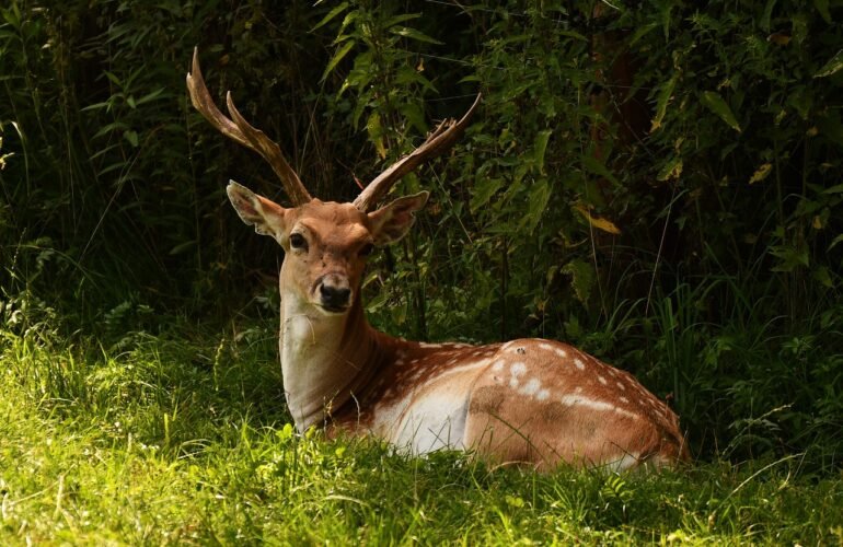 Trasformare le attese in pause rigeneranti
