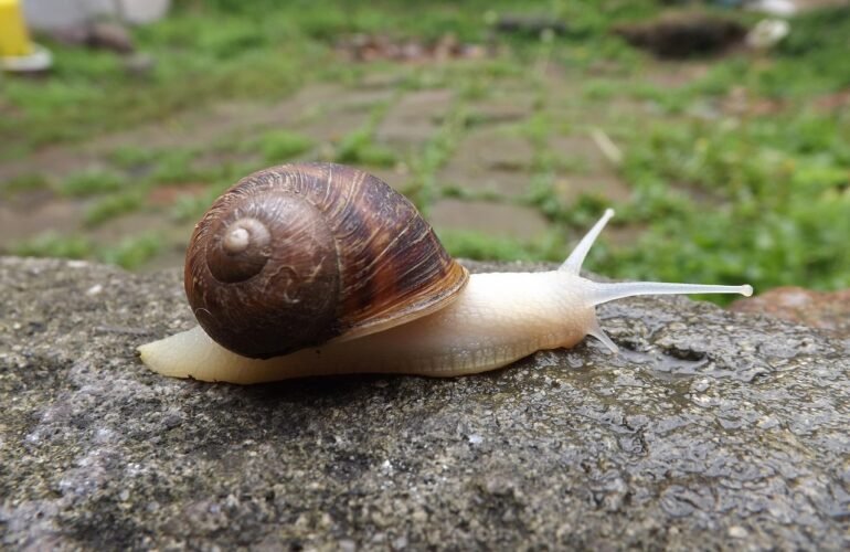 3 modi di rallentare: sentirsi meglio in pochi minuti