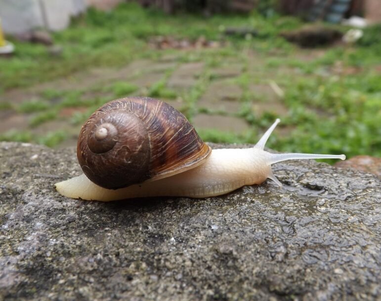 3 modi di rallentare: sentirsi meglio in pochi minuti