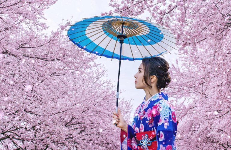 Il fiore della vacua meraviglia