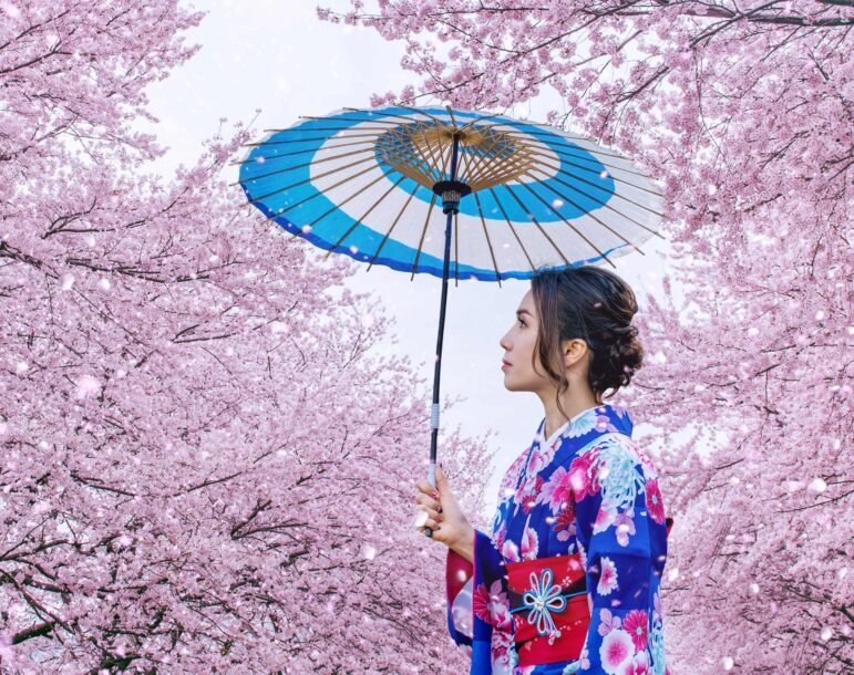 Il fiore della vacua meraviglia