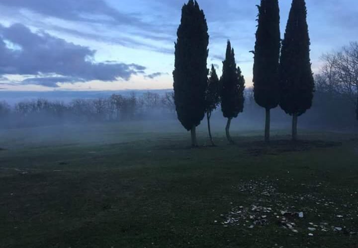 Dalla collina...